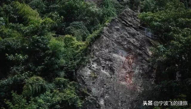 春燕归巢呢喃时光 来雁荡山燕语时光趣巢，5A景区不过是床头风景