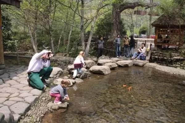 杭州千岛湖森林氧吧 千岛湖的世外桃源 洗肺静心 逃离雾霾天