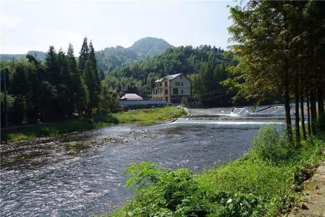 吃喝玩乐过大年！地道年货！民宿入住体验！你的年味我们承包了！