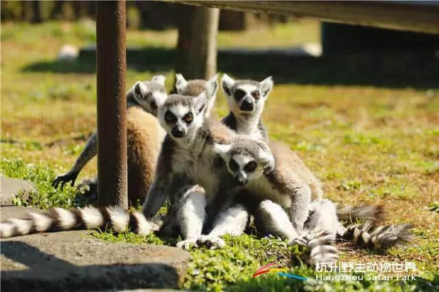 杭州：这5个地方超适合亲子郊游，有风景有玩乐，还艺术气息满满