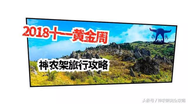 野人网发布2018十一黄金周神农架旅行攻略