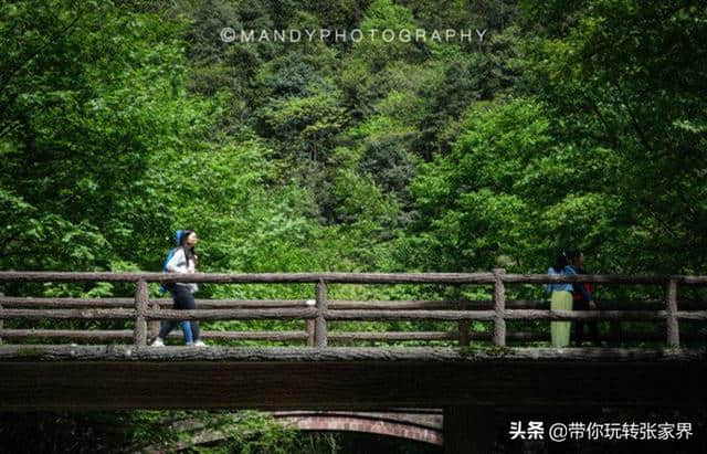 最详细的张家界旅游攻略，最贴心的行程安排，建议收藏