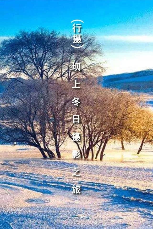 「1月」冬日坝上，一个美到极致的冰雪世界