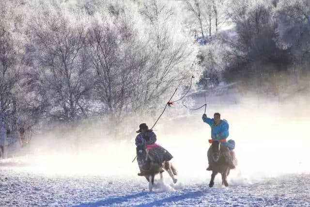 「1月」冬日坝上，一个美到极致的冰雪世界