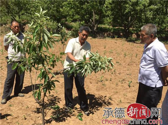 河北旅游职业学院科技下乡暖人心