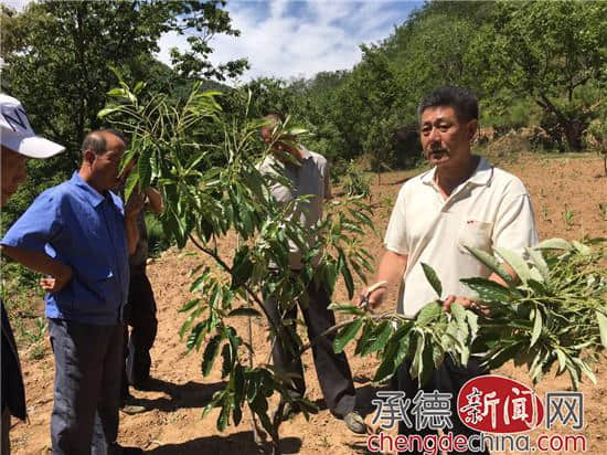 河北旅游职业学院科技下乡暖人心