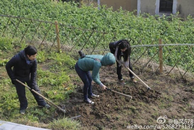 长三角旅游粉丝嘉年华 优秀旅游营销案例分析