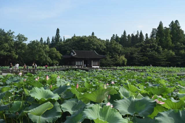 青山毋相忘，绿水留长忆！杭州、千岛湖、莫干山自驾五日游