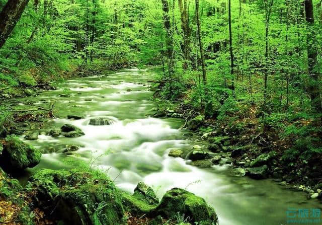 游湖登岛，赏青山绿水——度假胜地，杭州千岛湖