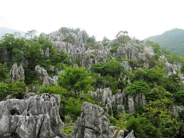 游湖登岛，赏青山绿水——度假胜地，杭州千岛湖