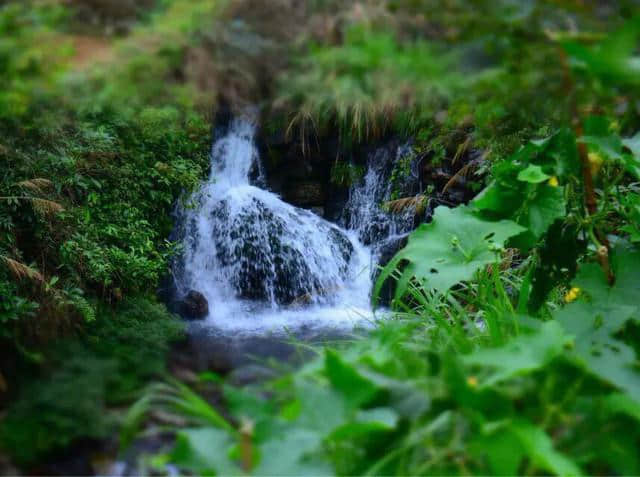 游湖登岛，赏青山绿水——度假胜地，杭州千岛湖