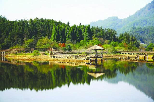 游湖登岛，赏青山绿水——度假胜地，杭州千岛湖