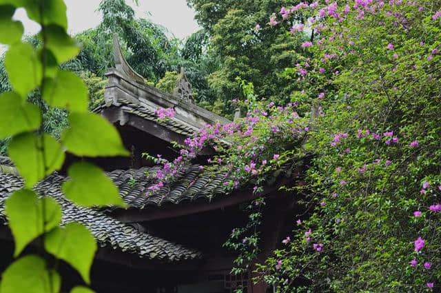 四川成都七大必游景点