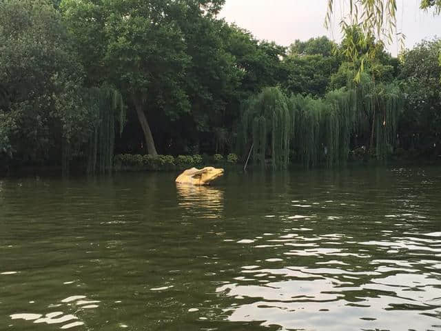 杭州西湖美景，一日尽收眼底