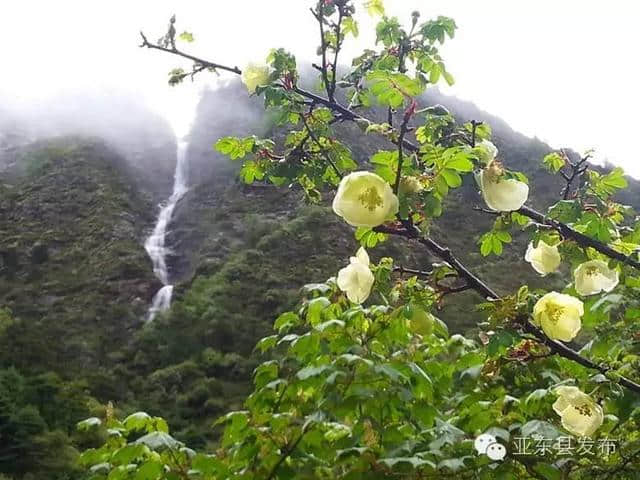 亚东美景