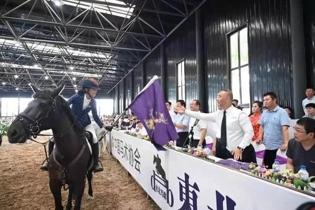 「马文化节」“以梦为马”，2019马文化旅游节我们来了