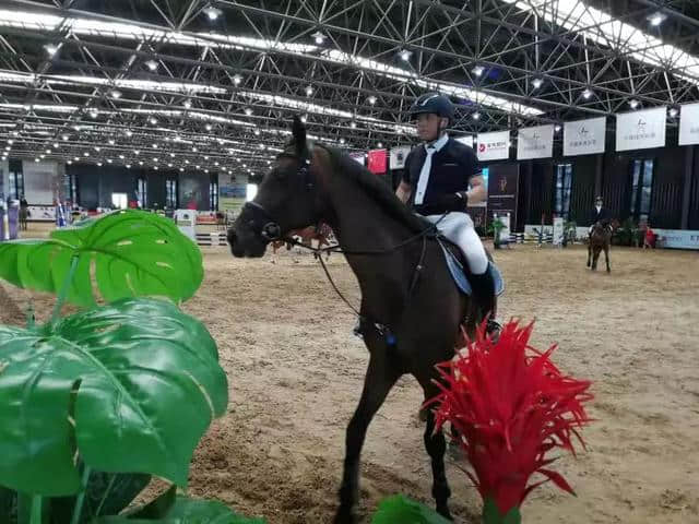 「马文化节」“以梦为马”，2019马文化旅游节我们来了