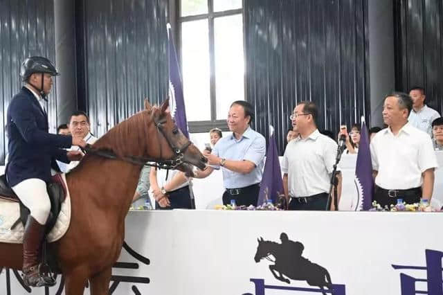 「马文化节」“以梦为马”，2019马文化旅游节我们来了