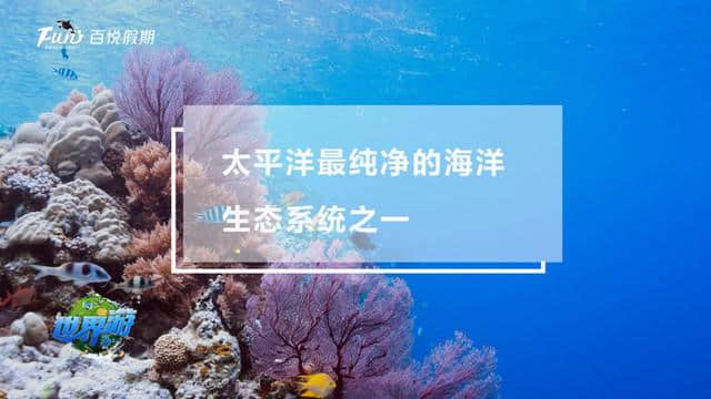 旅游卫视《世界游》｜携手秦岚，带你探秘原始天堂海岛——帕劳