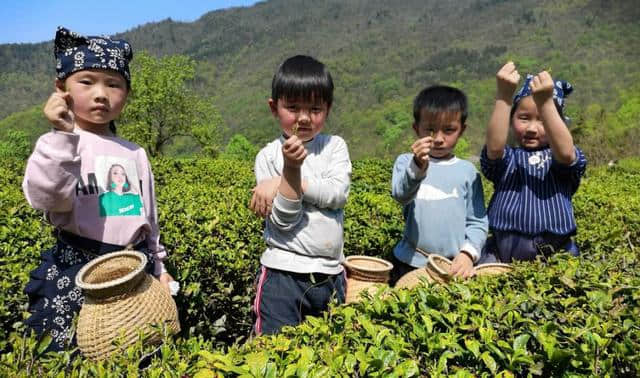 保康：做活旅游文章，助推绿色发展