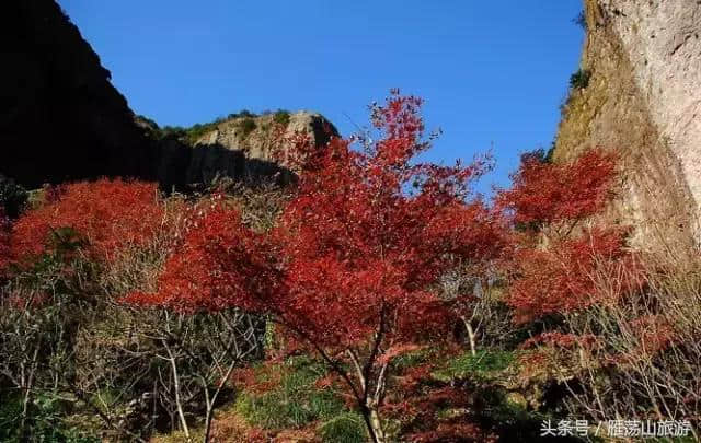 秋天，送自己一场雁荡的旅行