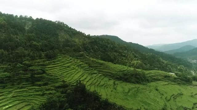 阳春鸡笼顶七星村：美丽的乡村旅游特色村