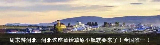 资讯｜河北省旅游信息化与应用促进会成立啦，新组织了解一下~