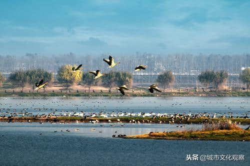 亲历者说旅游圣经：黄陂生态旅游超高速发展的四大法宝