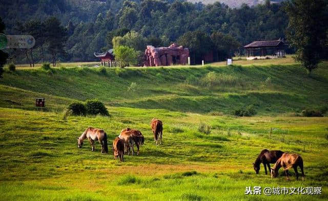 亲历者说旅游圣经：黄陂生态旅游超高速发展的四大法宝