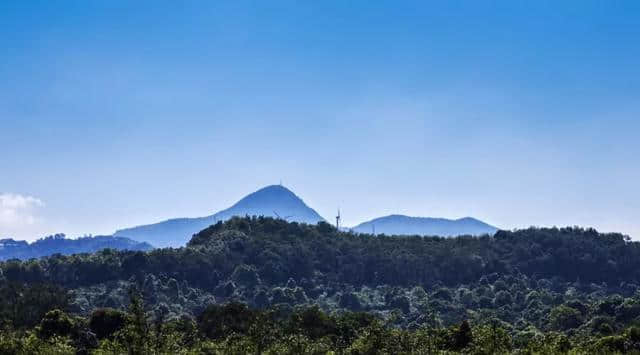 深圳游玩攻略！这里藏着个世外桃源！爬山、看海、观瀑……