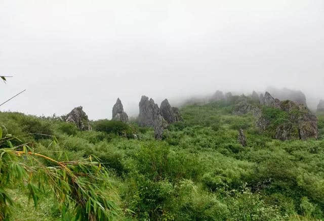 这是一份详细的神农架厉四天自驾游攻略（附美景照片）