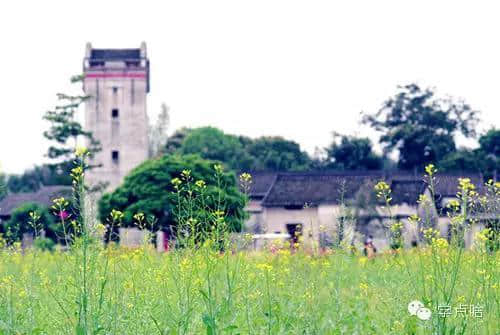 遍寻深圳那些文艺旅游景点，最容易邂逅的地方！