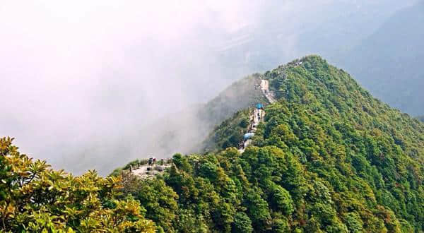 深圳有什么好玩的地方 深圳旅游景点 深圳旅游攻略