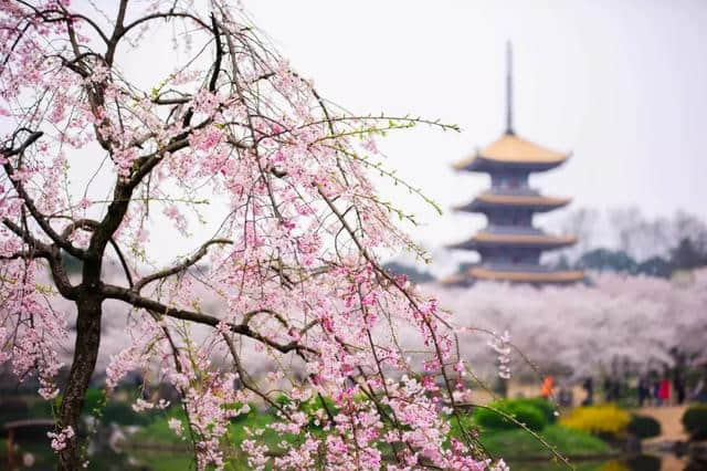 阳春三月，中国前十最佳旅行地，排名不分先后