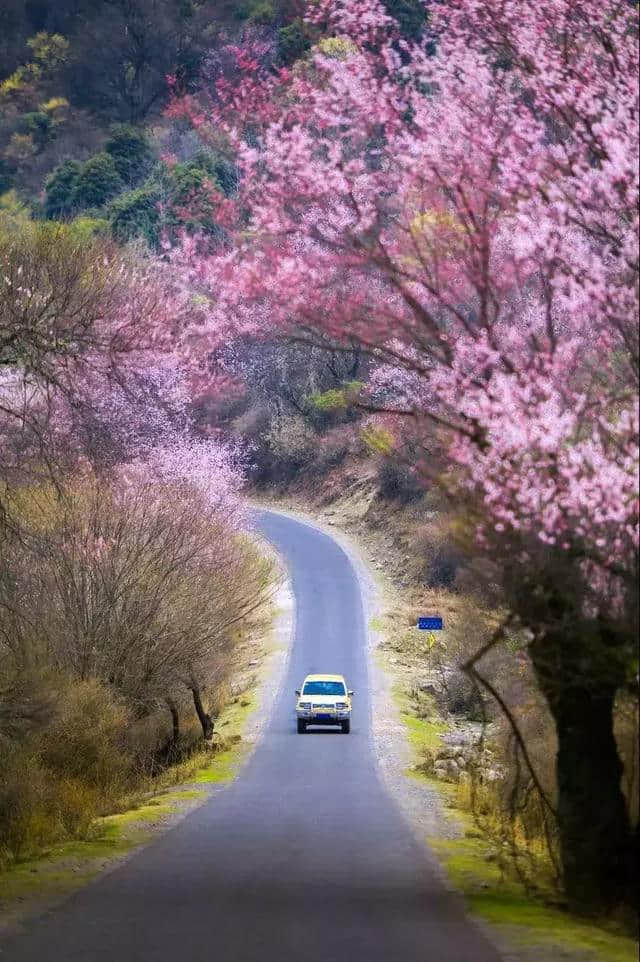 阳春三月，中国前十最佳旅行地，排名不分先后