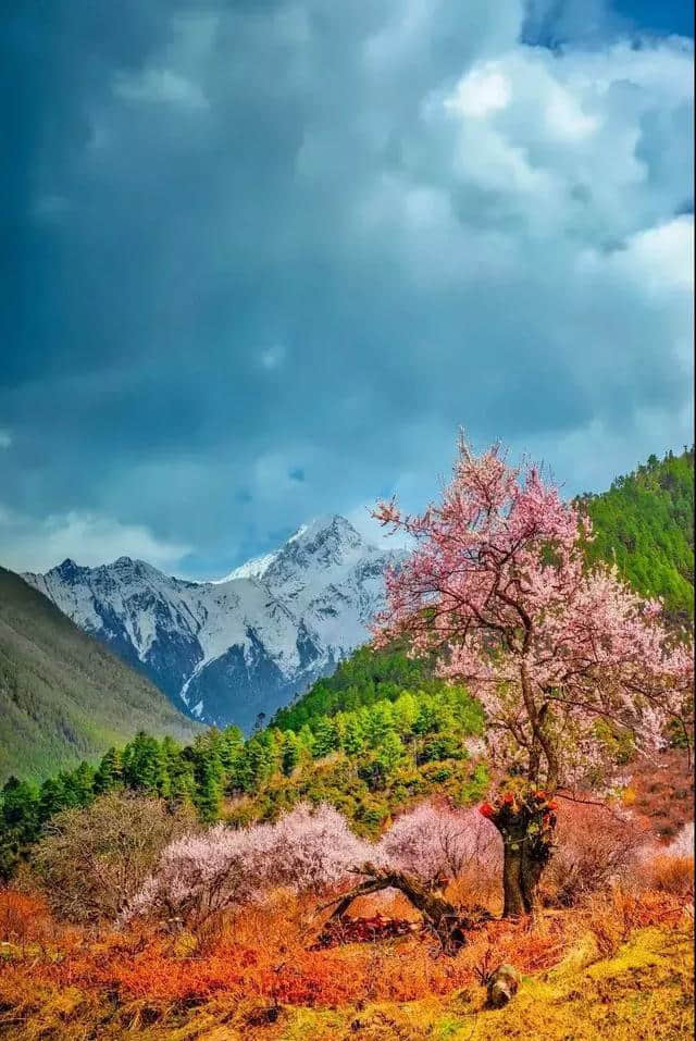 阳春三月，中国前十最佳旅行地，排名不分先后