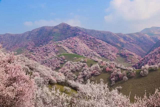 阳春三月，中国前十最佳旅行地，排名不分先后