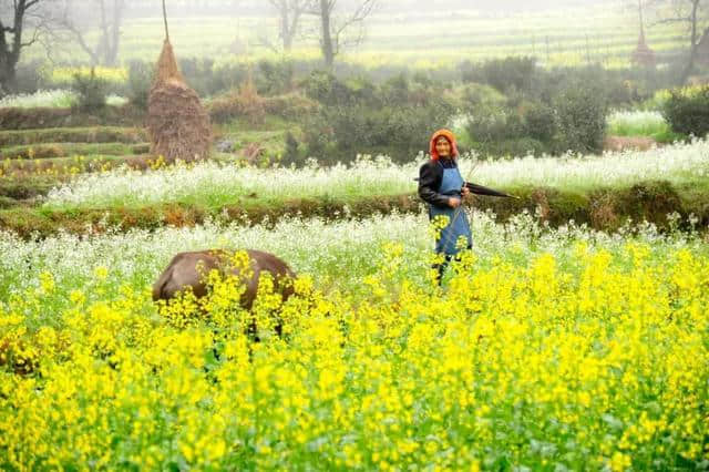 阳春三月，中国前十最佳旅行地，排名不分先后