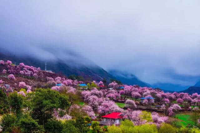 阳春三月，中国前十最佳旅行地，排名不分先后