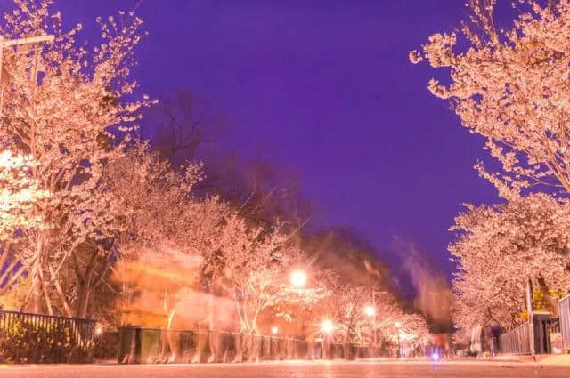 阳春三月，中国前十最佳旅行地，排名不分先后