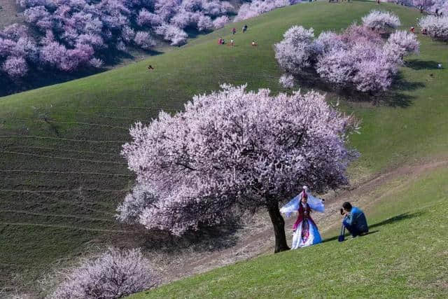 阳春三月，中国前十最佳旅行地，排名不分先后