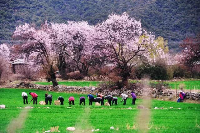 阳春三月，中国前十最佳旅行地，排名不分先后