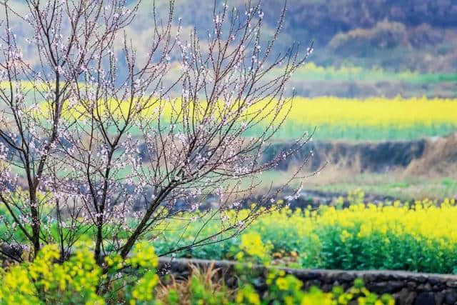 阳春三月，中国前十最佳旅行地，排名不分先后