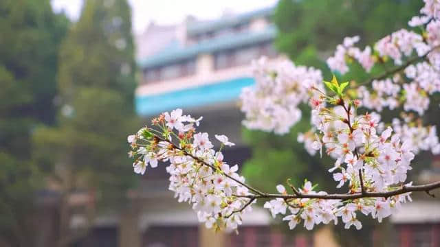 阳春三月，中国前十最佳旅行地，排名不分先后