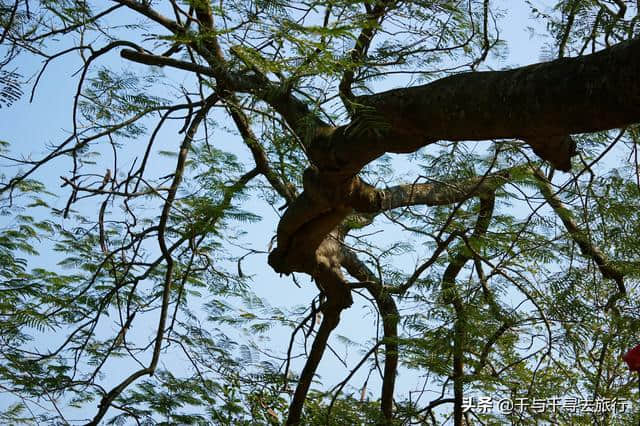 你眼中不一样的深圳，深圳大鹏半岛――最后的“桃花源”