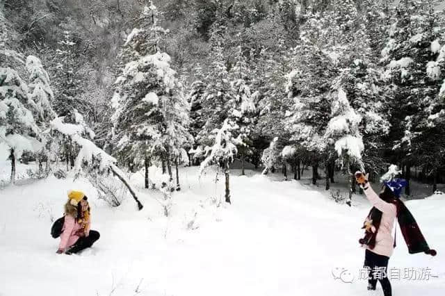 西南最大冰雪娱乐世界！3日游自驾全攻略！