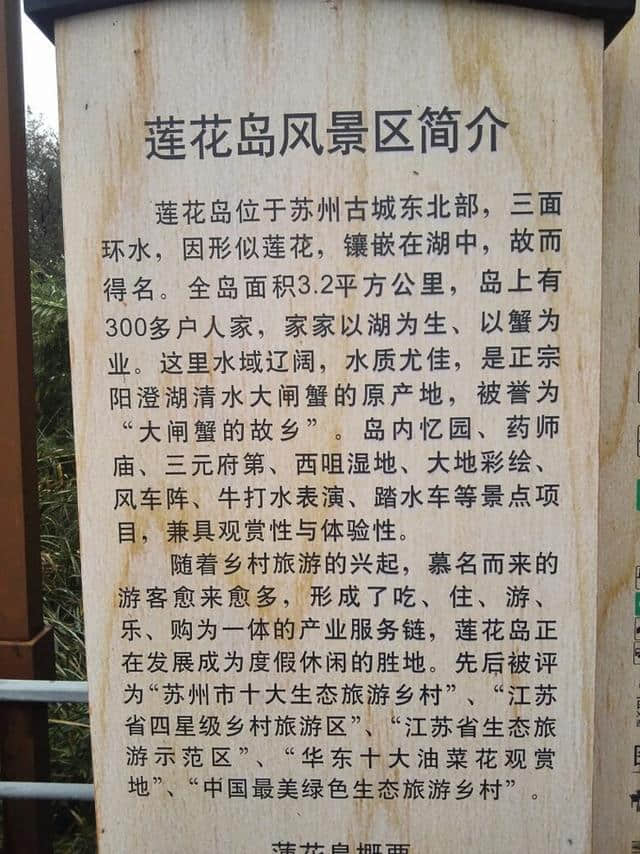 苏州阳澄湖旅游攻略 诱人美丽的阳澄湖莲花岛