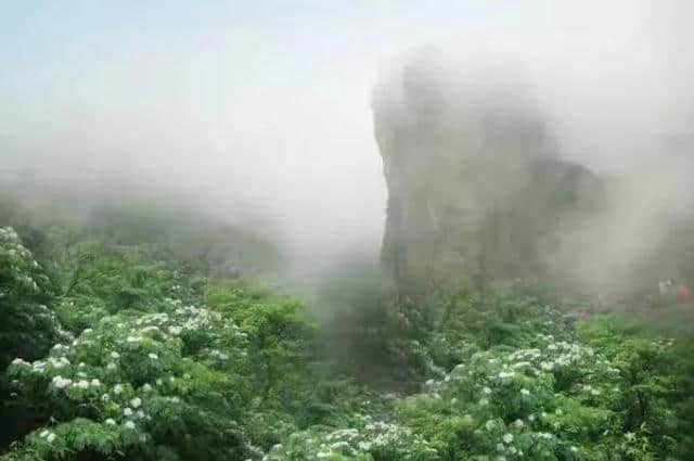 好福利，519旅游日半价畅游雁荡山，不来就可惜了