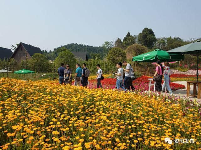 我市联手成都旅游局推出4条旅游线路