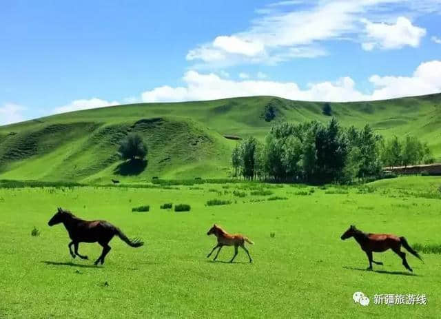 2018带你玩转大美新疆，乌鲁木齐环线旅游最经典玩法和行程汇总！